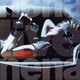 CD, live, Album