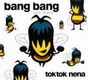 CD, Maxi